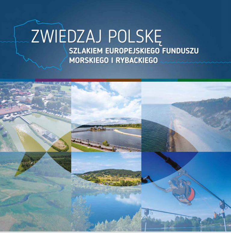 Zdjęcie okładki
